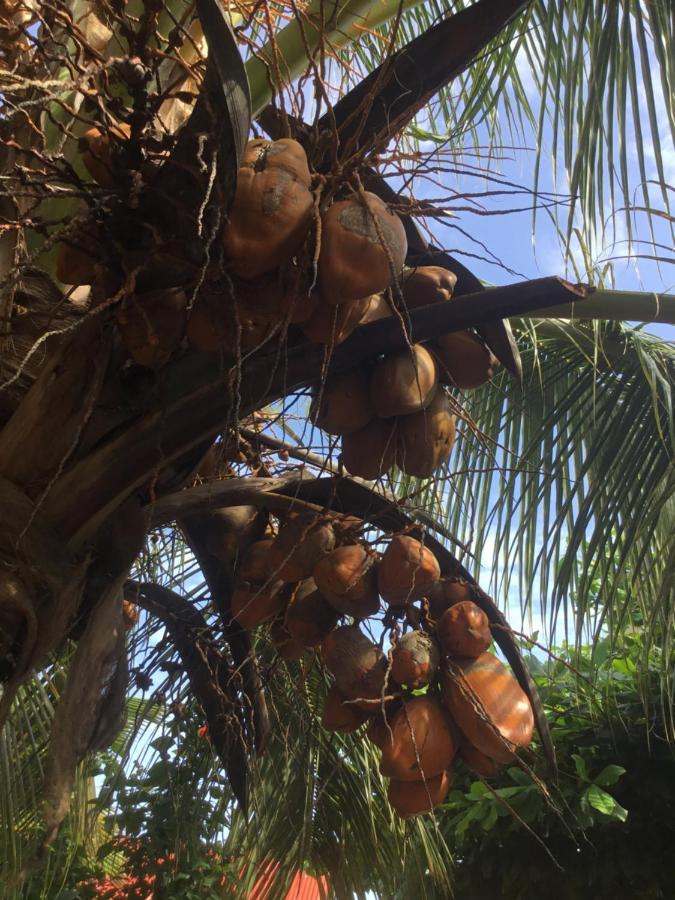 Goasis Nungwi Zanzibar Hotel Kültér fotó